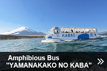 Amphibious KABA BUS