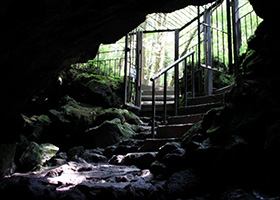 Saiko Bat Cave