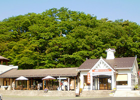 Michi-no-eki Katsuyama（roadside rest & shopping area）