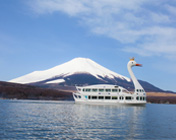 Yamanakako Swan Lake