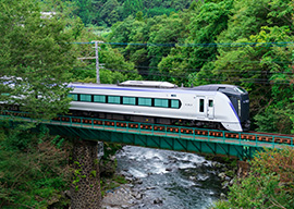 Limited Express Fuji Excursion